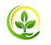 Plant Sales website